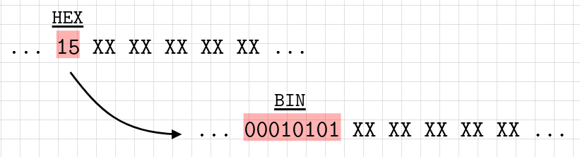 Image could not be loaded.